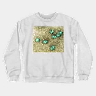 Influenzavirus B, TEM (M055/0432) Crewneck Sweatshirt